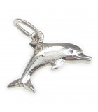 Dolphin Silver Charms