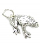 Frog and Toad Silver Charms