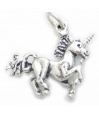 Unicorn silver charms