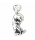 Otter and Beaver charms