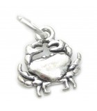 Crab silver charms