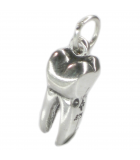 Dentist and dentistry silver charms