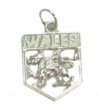 Welsh and Wales silver charms