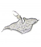Isle of Wight silver charms