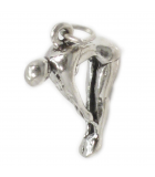 Swimming and Platform Diving silver charms